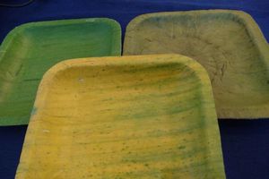 thumnail-917 Đồ ăn đựng bát đĩa lá chuối khô, chơi tranh lá sen chục triệu đồng