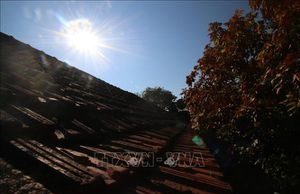 Cá ngừ đại dương, món ngon dễ làm