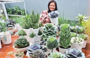 8X Bình Dương dùng nước vo gạo, mắt quả dứa trồng đủ giống rau lạ